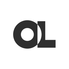 Opinion leader